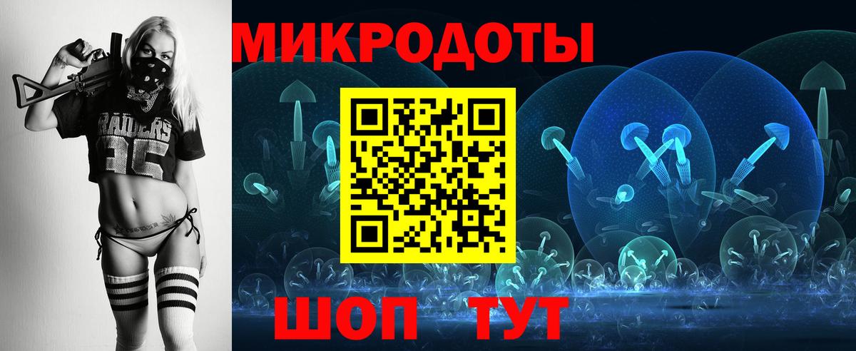 Псилоцибиновые грибы Cubensis  Вход с VPN  Кисловодск 