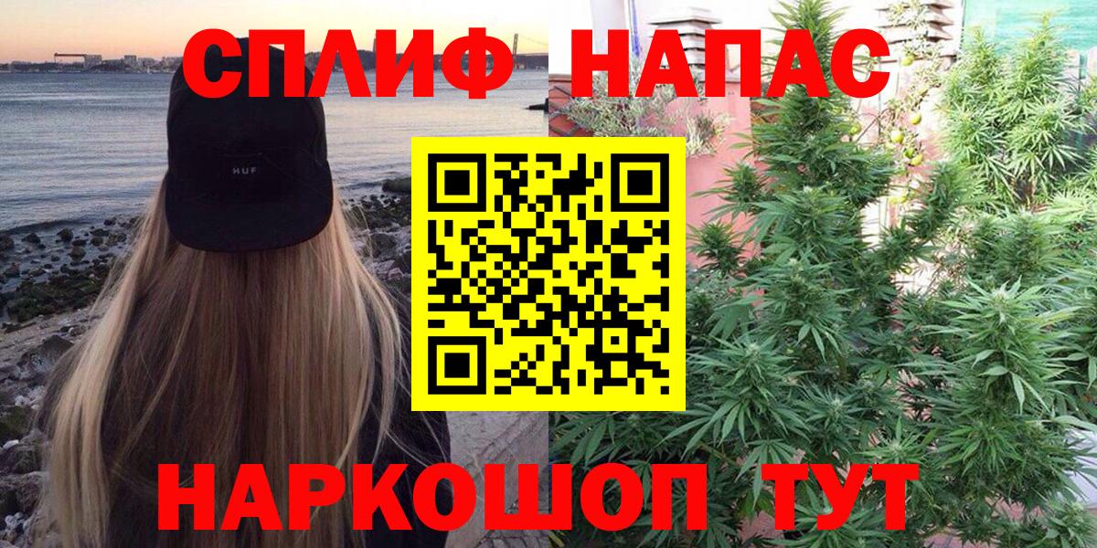 Каннабис OG Kush Кисловодск